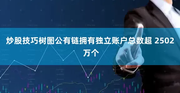 炒股技巧树图公有链拥有独立账户总数超 2502 万个