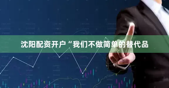 沈阳配资开户“我们不做简单的替代品