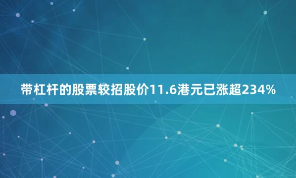 带杠杆的股票较招股价11.6港元已涨超234%